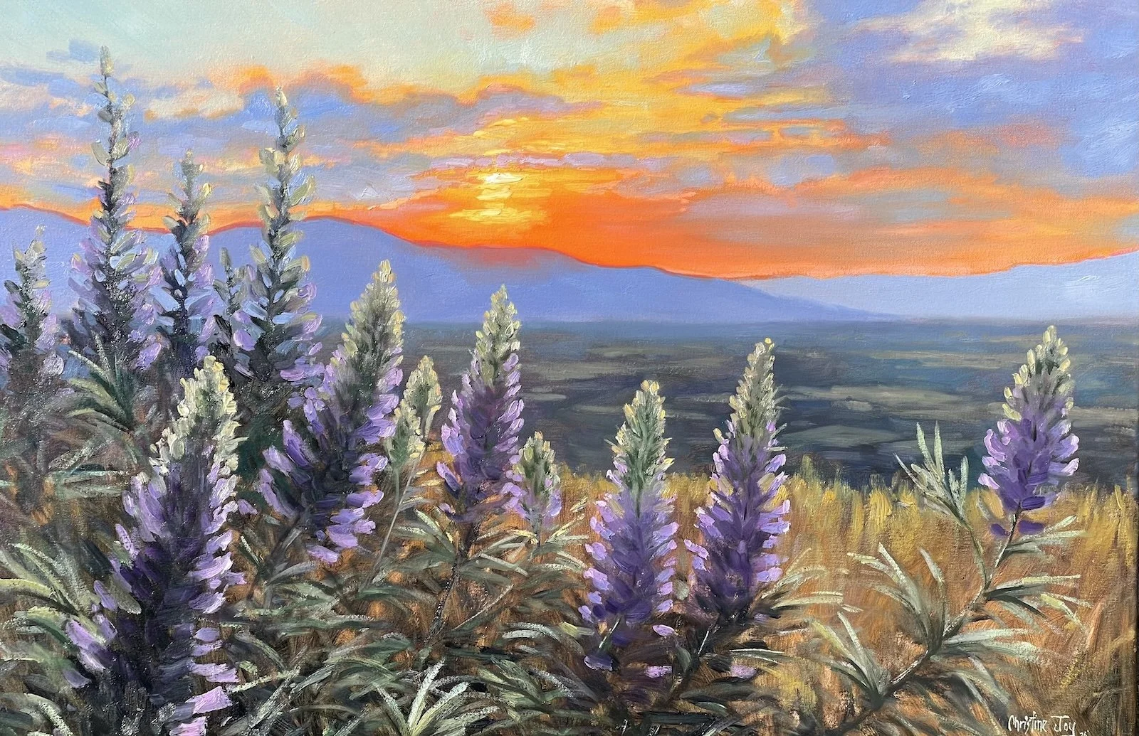 Landscapes — Christine Joy